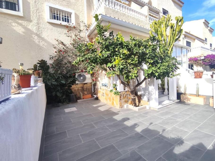 Rincon Mediterraneo غران ألاكانت المظهر الخارجي الصورة